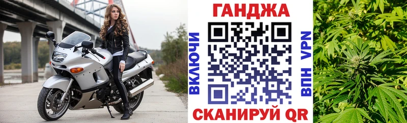Альфа ПВП Чкаловск
