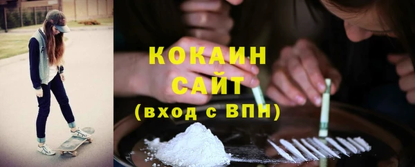индика Кукмор