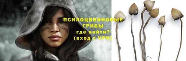 спиды Кулебаки