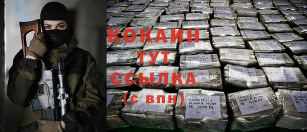 индика Кукмор