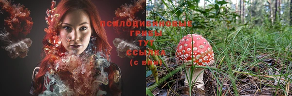 спиды Кулебаки