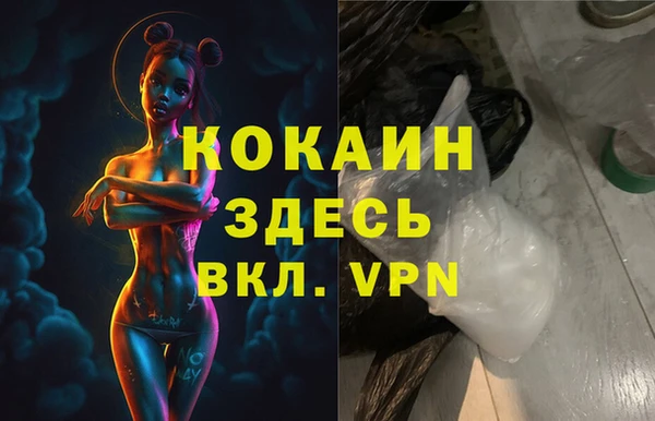 индика Кукмор