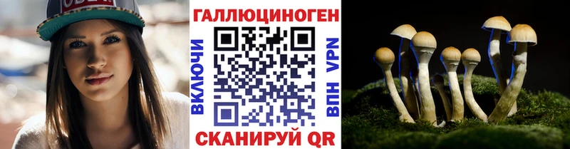 darknet официальный сайт  закладки  Чкаловск  Псилоцибиновые грибы прущие грибы 